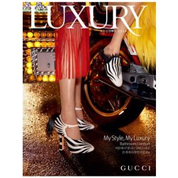 Luxury时尚奢侈品杂志韩国原版年订12期 D254 善本图书