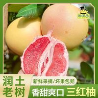 百亿补贴：胡鲜森 海南柚子三红蜜柚新鲜水果批发价当季应红肉1.5斤起