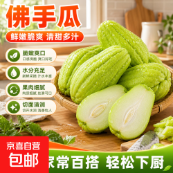 贵州高山新鲜佛手瓜农家自种嫩瓜洋瓜现摘蔬菜减脂低热量 6斤现摘佛手瓜净重 5.7斤