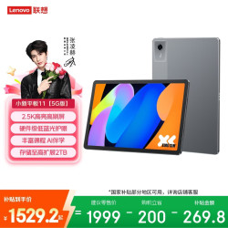 联想 小新 Pad 11 2024 11.0英寸 平板电脑 (2560*1600、天玑6300、8GB、256GB、5G+WIFi版、灰色)