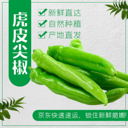 山东青椒尖椒薄皮辣椒虎皮辣椒现摘鲜青辣椒时令蔬菜农场直发 1斤 1斤
