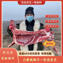 碱滩羊 半只羊10斤羊8-30斤羊排羊肉半羊草原现杀现卖