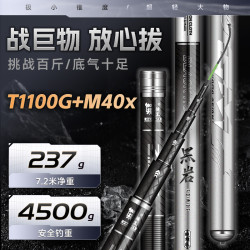 伽玛精工 黑岩鲢鳙鱼竿手杆超轻超硬轻量大物竿钓鱼竿19调大综合台钓竿