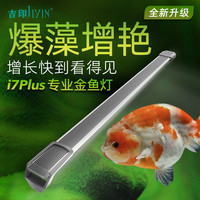 吉印 i7Plus金鱼爆藻专用灯全光谱增艳增色照明灯高效爆藻鱼缸灯