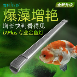 吉印 i7Plus金鱼爆藻专用灯全光谱增艳增色照明灯高效爆藻鱼缸灯