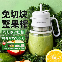 羅婭 罗娅42刀榨汁机1.3L容量整果榨小型便携式电动果汁机水果榨汁杯