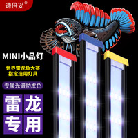 速倍妥 雷龙鱼专用灯led鱼缸灯防水观赏灯雷龙发色增色增艳照明灯