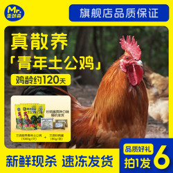 蛋鲜森 散养大公鸡新鲜宰杀单只2斤以上正宗土公鸡