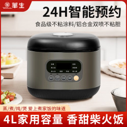 华生 家用4升电饭煲自动保温快煮蒸煮电饭锅电脑煲FB4D-80