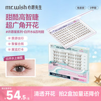MR.WISH 漫画百利甜心愿先生免胶水假睫毛单簇