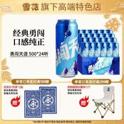 雪花 啤酒 勇闯天涯500ML*24听 整箱装+折叠椅
