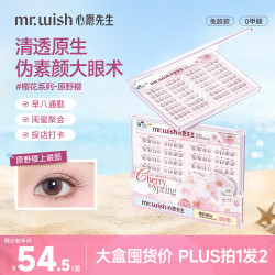 MR.WISH 淡颜自然免胶原野樱素颜睫新手假睫毛