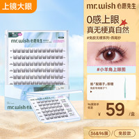 MR.WISH 明星同款清透燕尾纱自然舒适心愿先生假睫毛