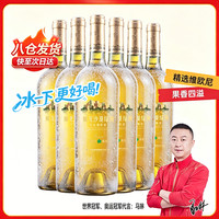 威龙 维欧尼干白葡萄酒官方旗舰正品冰饮聚会好喝