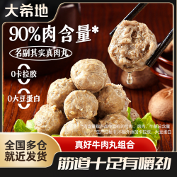 大希地 牛肉丸250g潮汕风味火锅丸子空气牛筋烧烤牛筋丸食材