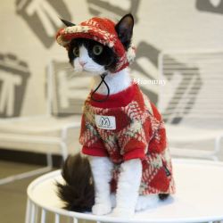 红格奥粒绒秋冬猫咪衣服德文猫无毛猫阿比猫圣诞新年帽子衣服套装
