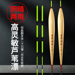 阴晴芦苇大物浮漂专业手工优质芦苇漂清晰入水稳定性强青鱼行程漂