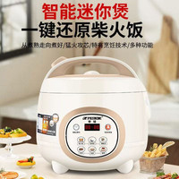 Peskoe 正品半球智能电饭煲家用多功能1.6-2-3-5升预约1-2-6-8人迷你饭锅