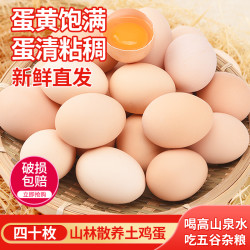 堆草堆 皖南散养无抗无激素土鸡蛋1.6kg-1.8kg 40枚/盒