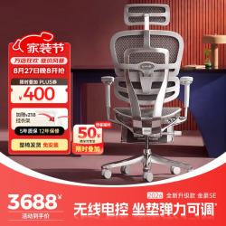 Ergonor 金豪L 2代 人体工学电脑椅+躺舒宝 银白色