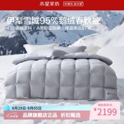 水星家纺 A类抑菌阻螨95%鹅绒冬被/春秋被/暖气被芯 防钻绒面料羽绒被子 寒域静暖抗菌鹅绒春秋被(时空银) 200cm×230cm