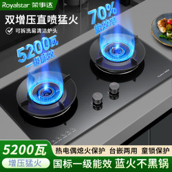 荣事达 猛火灶双灶燃气灶煤气灶灶天燃气灶液化气灶