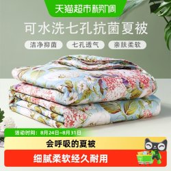 富安娜 七孔纤维抗菌 黛西 夏凉被