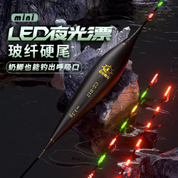 船长极光夜光漂黑坑行程浮漂LED硬尾鱼漂日夜两用咬钩变色浮漂