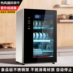 杯子消毒柜 家用小型立式台式免沥水高温烘干