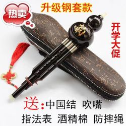 葫芦丝乐器降B调带皮盒初学少年儿童成人学习演奏