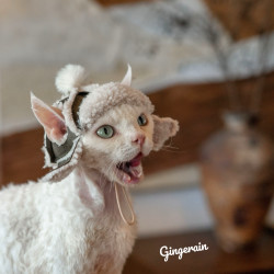 GINGERAIN 自家制版型加绒飞机帽无毛猫德文羊羔绒冬季露耳朵