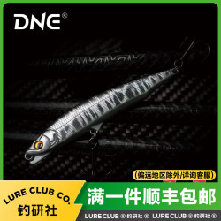 DNE去路亚暴牙沉水铅笔挡水板远投翘嘴海鲈颤沉假饵硬饵鱼饵垂钓