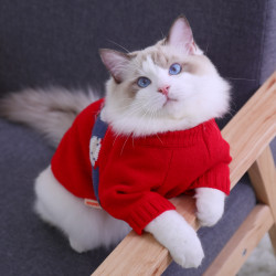 华元宠具 猫咪衣服冬季保暖蓝猫布偶狗狗猫猫防掉毛小猫宠物幼猫的秋冬毛衣