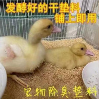 芦丁鸡发酵床垫料已加菌不铲屎木屑芦丁鸡鸭鹌鹑鸽子分解粪便无臭