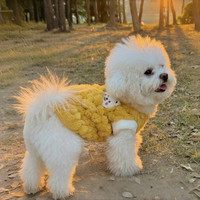 阿莫尔 狗狗秋冬季加厚金龟绒宠物小型猫犬衣服可牵引猫咪狗狗背心马甲