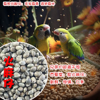 鹦鹉大麻子鸟粮鸽粮火麻子鸟食小颗粒鹦鹉仓鼠松鼠粮