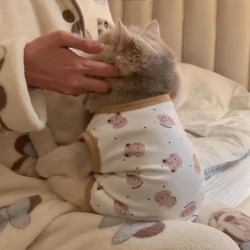 猫咪狗狗衣服防掉毛春秋款可爱ins金渐层英短布偶猫小型幼犬背心