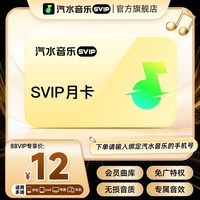 88VIP：汽水音乐 svip会员月卡1个月 音乐svip会员 直充