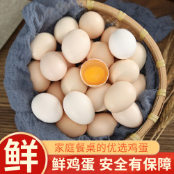 我老家 土鸡蛋新鲜鸡蛋生鲜鸡蛋20枚新鲜正宗散养鲜鸡蛋新鲜包邮