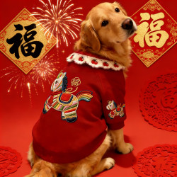 喜庆金毛狗狗新年过年衣服宠物必备物品狗狗衣服围脖中大型两脚衣