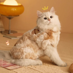 华元宠具 猫咪衣服冬季防掉毛幼猫宠物狗狗冬天保暖小猫衣服秋冬加厚