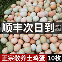 乡公馆 鸡蛋土鸡蛋乌鸡蛋混合蛋新鲜正宗农家散养鸡蛋绿皮草绿壳鸡蛋10枚
