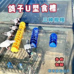 信鸽食槽多孔u型 多孔带盖长食槽 鸽子赛鸽小鸡芦丁鸡食槽食盒
