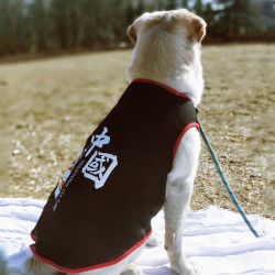 狗狗衣服大狗背心中大型犬金毛拉布拉多萨摩夏季薄款2022宠物衣服