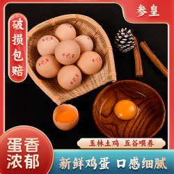 参皇新鲜土鸡蛋农场直供现捡现发健康营养早餐好吃顺丰包邮