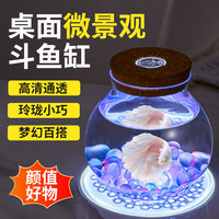 宠小帅 发光大肚瓶斗鱼缸带灯造景套餐迷你大肚子玻璃鱼瓶客厅桌面办公室