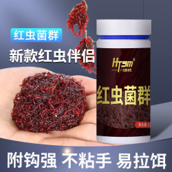 红虫伴侣菌群红虫拉饵蚯蚓伴侣