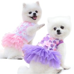宠物狗狗裙子猫咪衣服夏季宠物衣服新款高颜值宠物用品薄款裙夏天