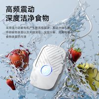 全自动USB洗菜清洗器净化器杀菌果蔬家用迷你去农残洗水果神器