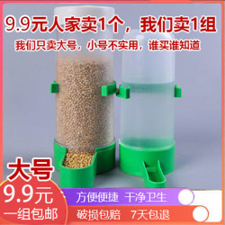 芦丁鸡鸟用饮水器鸟喝水杯鹦鹉自动下料器自动喂水食器食盒绿色